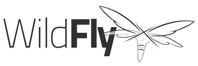 wildfly